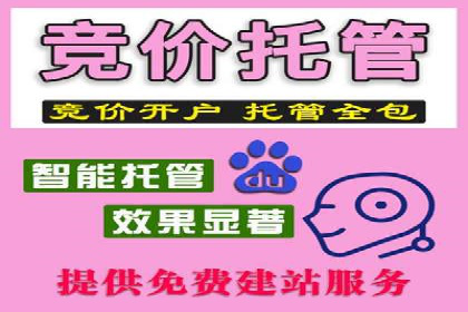 某某sem代运营公司：精准投放的背后策略